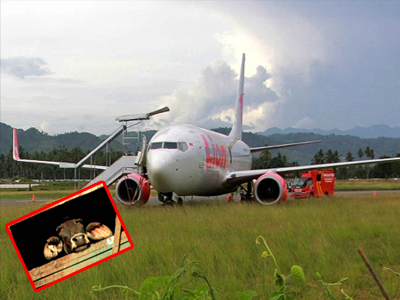 Ινδονησία: Αεροπλάνο συγκρούστηκε με… αγελάδα!