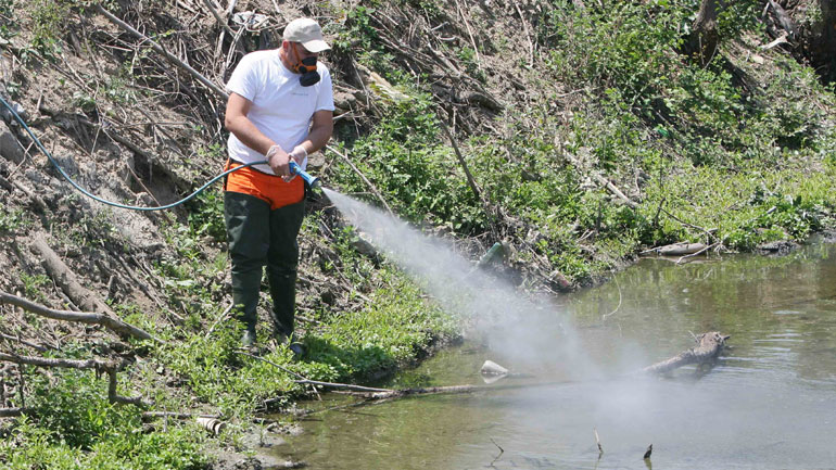 Τον Ιούνιο οι ψεκασμοί για τα κουνούπια στην Κεντρική Μακεδονία