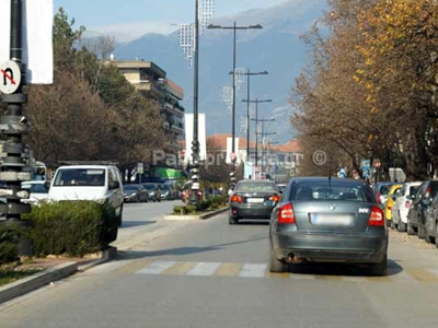 Σε ζώο ανήκουν τα οστά που βρέθηκαν στα Ιωάννινα