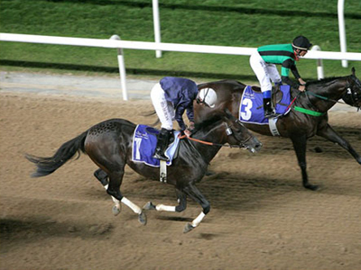 Στη δημοσιότητα η οικονομική πρόταση της Intralot για τον Ιππόδρομο