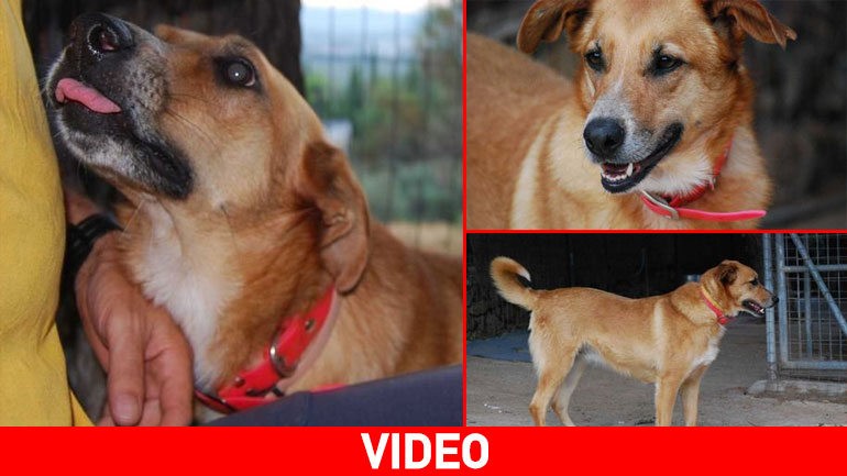 Η Ήρα ψάχνει την οικογένειά της