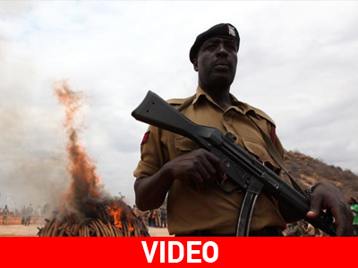 Στην πυρά για καλό σκοπό