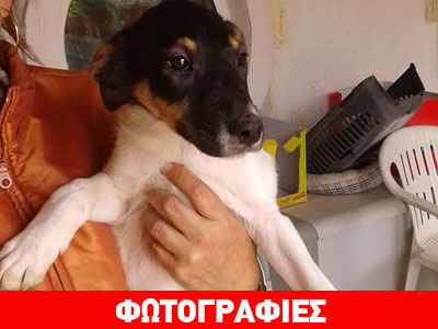 Xαρίζεται ο αξιολάτρευτος Τζακ