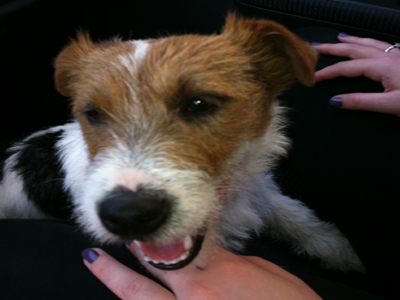 Χάθηκε ο Τζακ