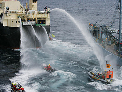 Τόκιο: Τέλος στην εκστρατεία φαλαινοθηρίας