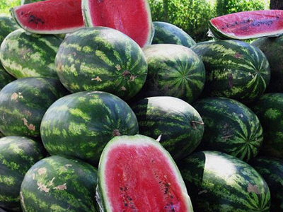 Κρύβονταν μέσα στα καρπούζια