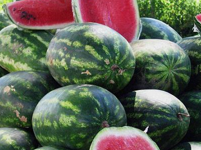 Ταξίδευαν ανάμεσα στα καρπούζια