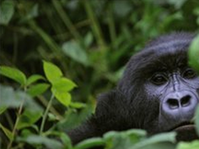 «Πόρτα» σε πετρελαϊκή εταιρεία