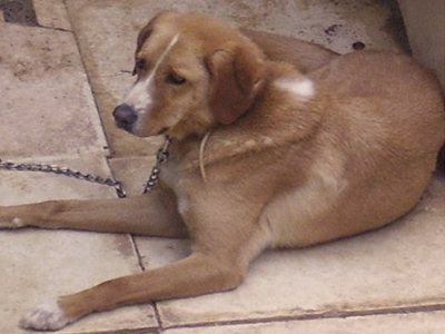 Βοηθήστε να επιστρέψει σπίτι της