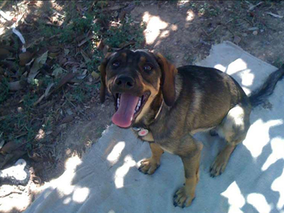 Αναζητά το δικό της σπίτι