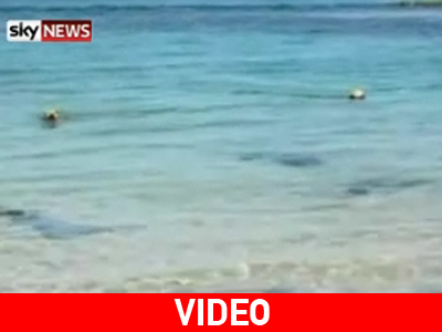 Γλύτωσε…από του σκύλου τα δόντια