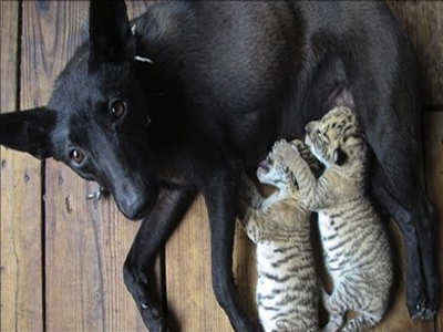 Το μεγαλείο της φύσης…