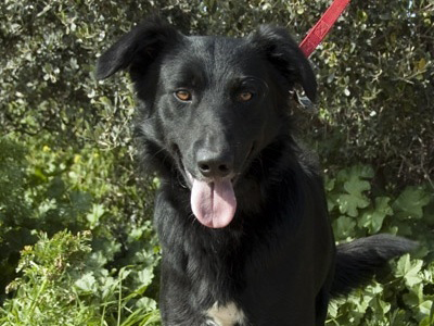 Χαρίζεται ο «Πάρης»