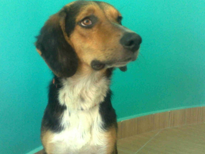 Μήπως τον χάσατε;