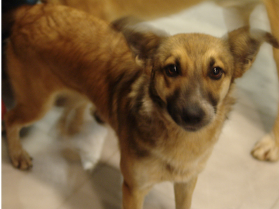 Περιμένει μια ζεστή αγκαλιά και ένα όνομα