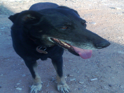 Τον αναζητούν