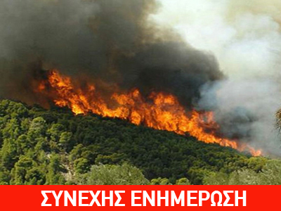 Φωτιά στον Καθαρώνα Ναυπλίου