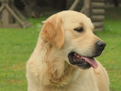 Χάθηκε στην Κηφισιά