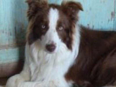 Αθωώθηκε λόγω…πολυτεκνίας