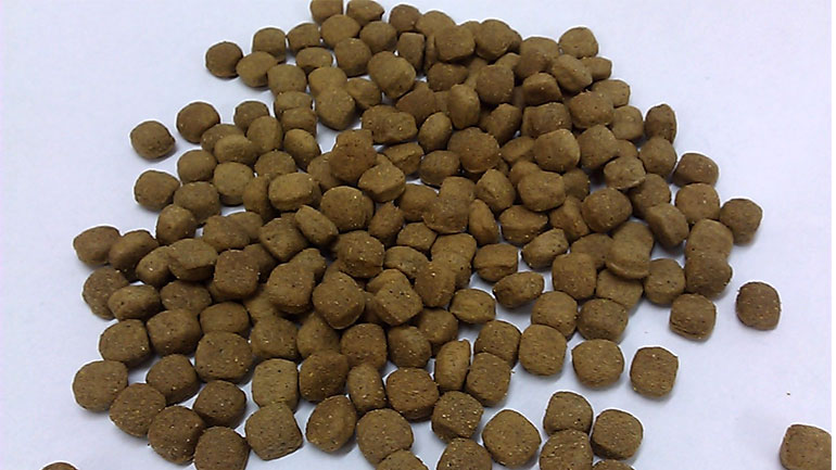 Δέσμευση 4 τόνων ζωοτροφών για κατοικίδια