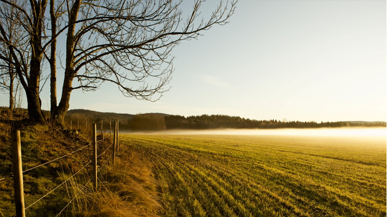 Αττική: Τη Δευτέρα η ανάρτηση των κτηματολογικών στοιχείων σε 11 δήμους