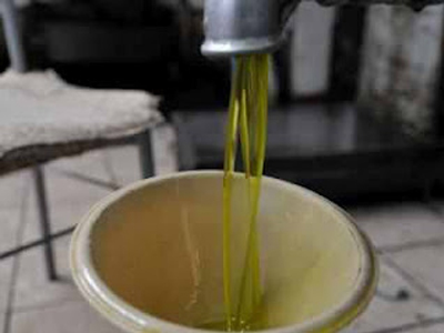 Δεν πρόλαβε να χαρεί τη λεία του