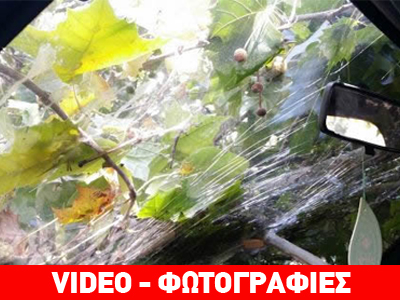 Χωρίς τέλος οι πτώσεις κλαδιών και δέντρων στη Λαμία