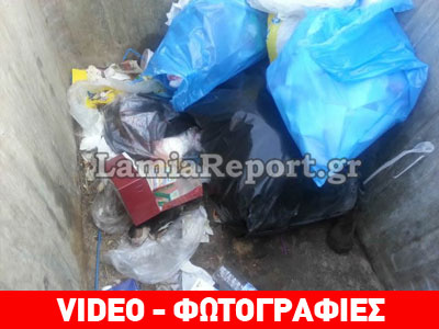 Λαμία: Πέταξαν κουτάβια σε κάδο απορριμμάτων