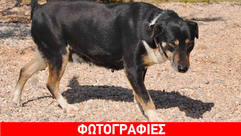 Ποιος θα δώσει στη Lara μια ζεστή αγκαλιά;