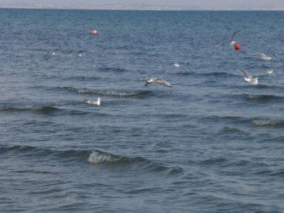 Τελευταία βουτιά για λουόμενο στη Χαλκιδική