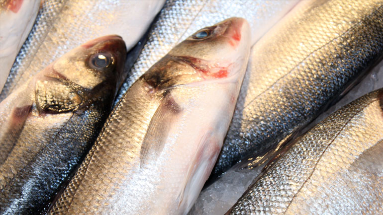 Δέσμευση αλιευμάτων στην ιχθυόσκαλα Κερατσινίου