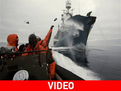 Μήνυσαν τη «Sea Shepherd»
