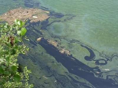 Άδειαζε τα λύματα σε κοίτη ποταμού στο Κιλκίς