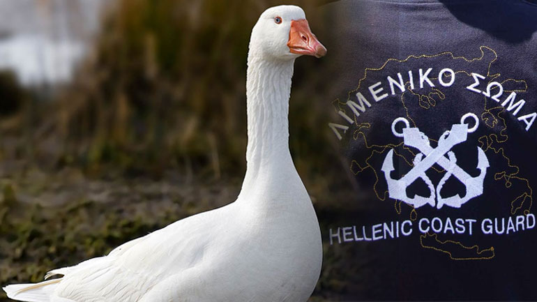 Συνελήφθη γιατί σκότωσε μια χήνα