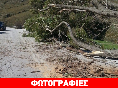 Το πήρε και το… σήκωσε!