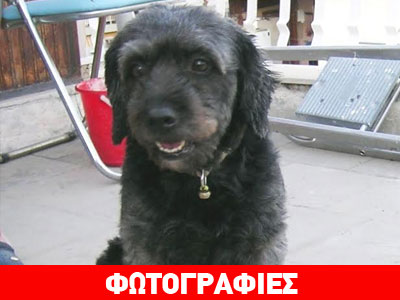 Μια ζεστή αγκαλιά για τη Λίζα