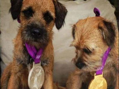 Ο Μάρεϊ και τα… σκυλιά του!