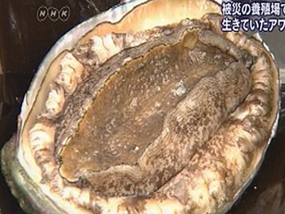 Ζωντανό…τρεις μήνες μετά