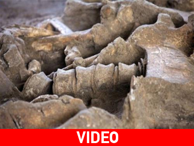 Υπήρχε μαμούθ στο Παρίσι