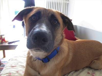 Bρέθηκε εγκαταλελειμμένος στους δρόμους