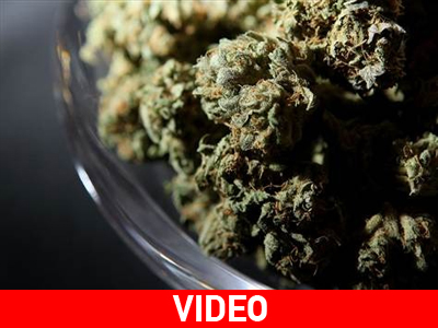 Νομιμοποίηση μαριχουάνας σε δύο πολιτείες των Η.Π.Α.