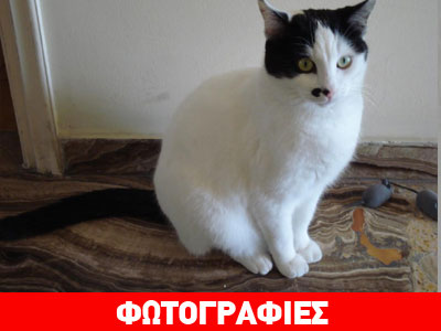 Χαρίζεται η Μελίνα