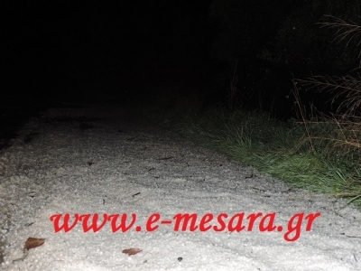 Κρήτη: Χαλαζόπτωση κατέστρεψε ελιές στη Μεσαρά