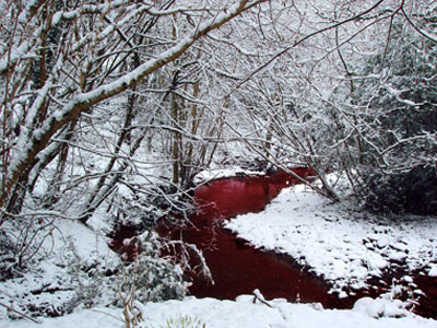 Το ματωμένο ποτάμι