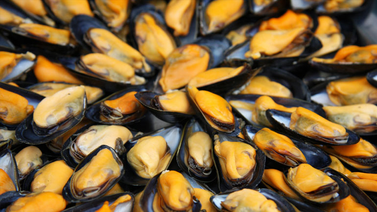 Δέσμευση μυδιών και προϊόντων ζύμης στον Πειραιά