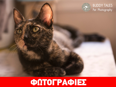 Χαρίζεται η ναζιάρα Μηλίτσα!