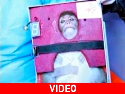 Ιράν: Εικόνες από την αποστολή μαϊμούς στο Διάστημα