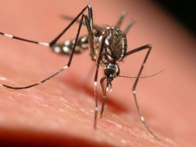 Καθησυχαστικές οι τοπικές Αρχές στην Τρίπολη