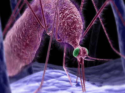 Δεν θα μας «παίρνουν» μυρωδιά