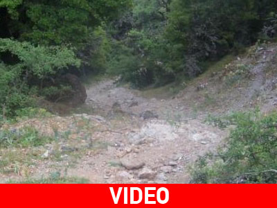 Πήραν τα βουνά οι… μερακλήδες της Λέσβου